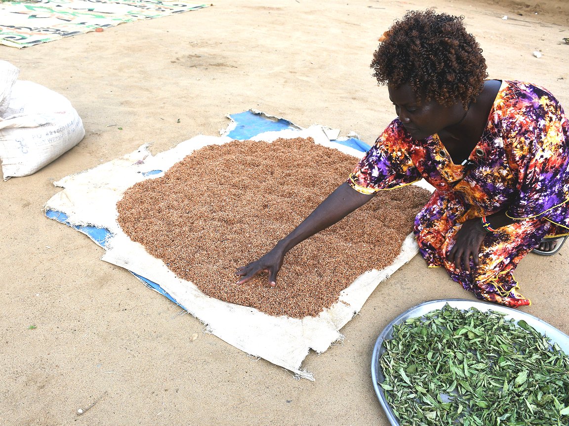 South Sudan food insecurity: ‘Holding on to hope the rains will not fail’