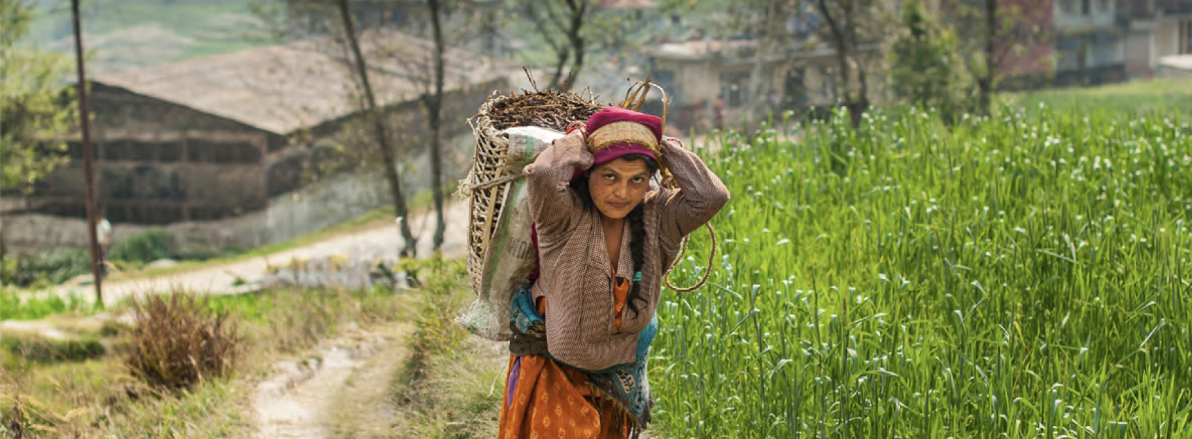 Climate impacts on health and livelihoods