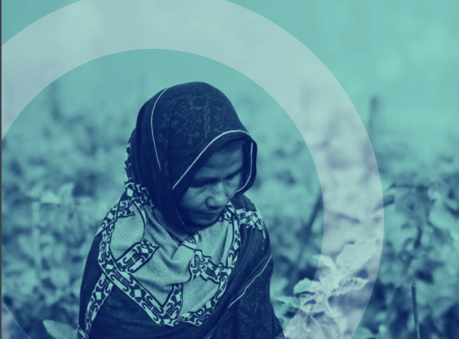 FINANCE FOR EARLY ACTION: Tracking Commitments, Trends, Challenges and Opportunities