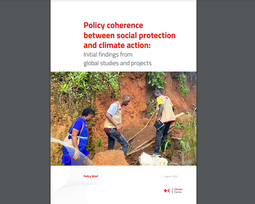 Policy for social protection and climate action