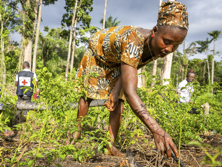 ‘The well-being of humans is intrinsically linked to the health of our planet’