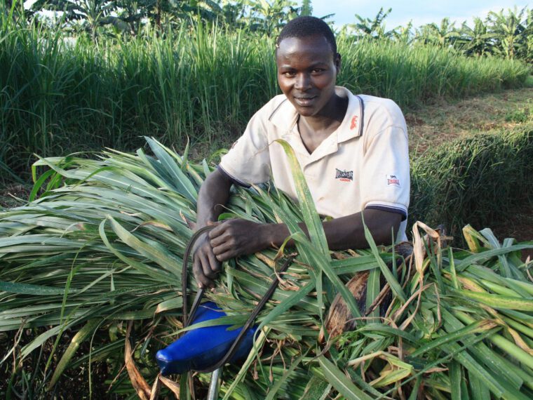 ‘Food provides life, health, hope’