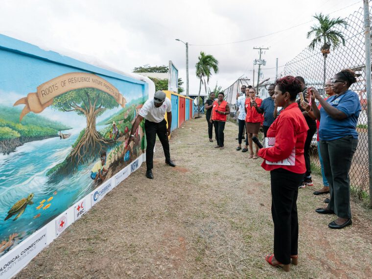 Art and a children’s book for coastal adaptation and resilience in Grenada