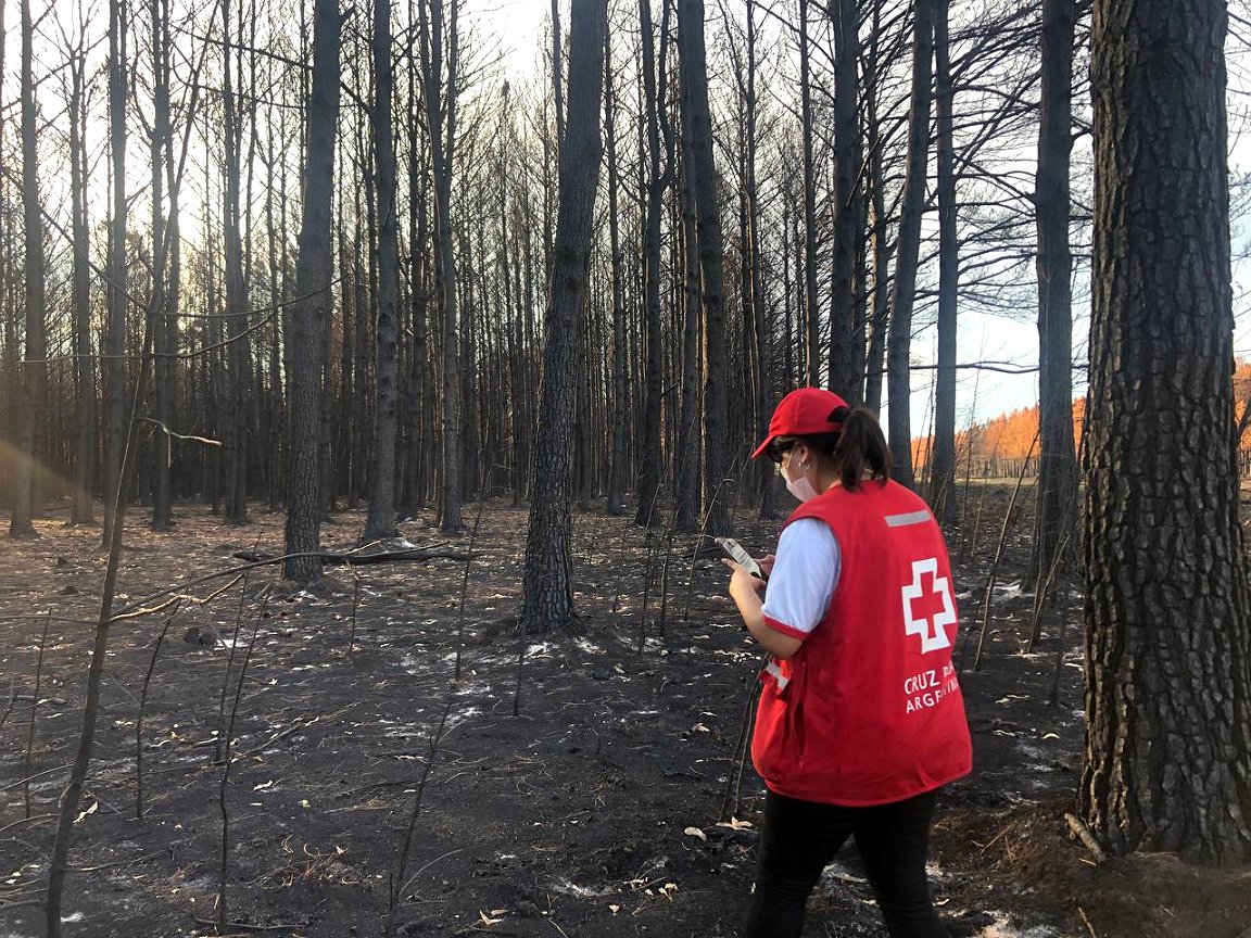 Argentine Red Cross will help restore wetland ecosystem damaged by wildfires