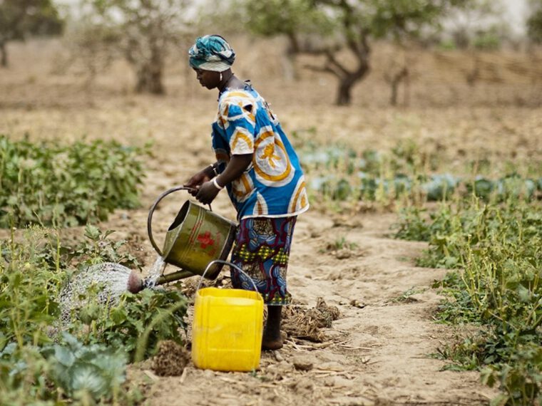 Climate impacts, inclusion and livelihoods in the Sahel: the importance of social protection
