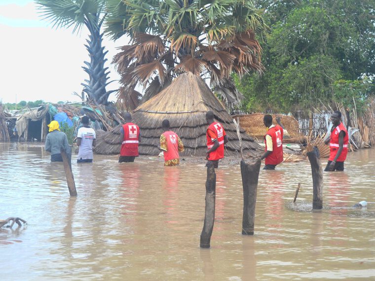 Reading uni announces project ‘to better understand and predict’ Nile floods in South Sudan, Uganda