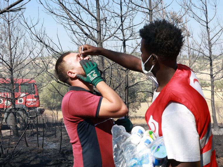 WMO: European heatwaves range ‘from the Arctic to the Mediterranean’