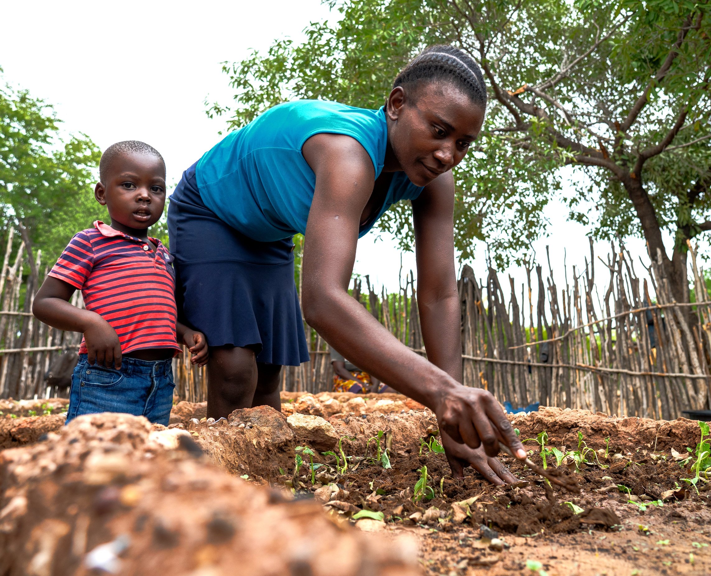 Climate-smart agriculture