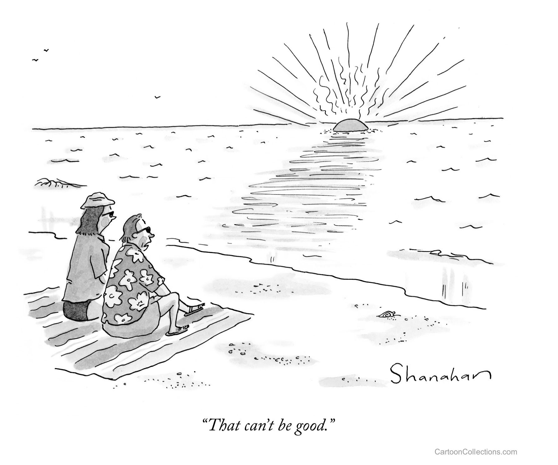 Special Report on the Ocean and Cryosphere in a Changing Climate- explained in cartoons