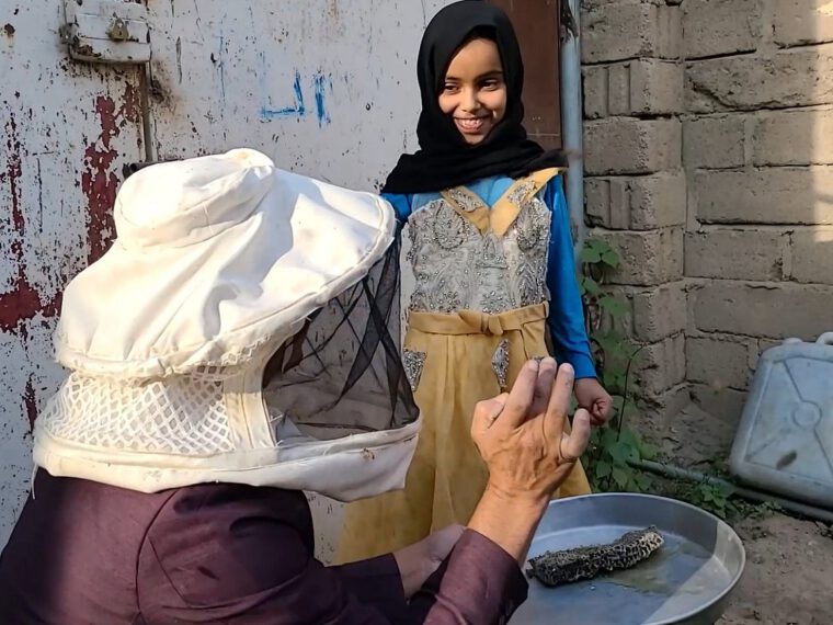 ICRC: Yemen’s ancient honey industry at risk from combination of conflict and climate change